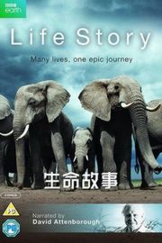 BD50 BBC 生命礼赞 2碟 LIFE STORY （2014） 带国配 豆瓣9.7 