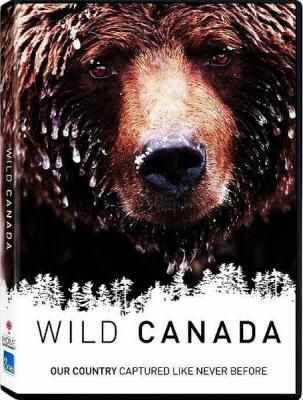 野性加拿大 2碟 WILD CANADA （2014） 