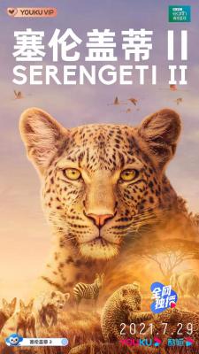 BD50 塞伦盖蒂 第二季 SERENGETI SEASON 2 (2021) 2碟 带国语 50G 