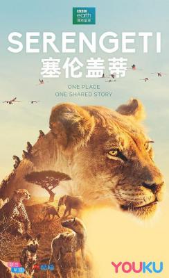 塞伦盖蒂 2碟 SERENGETI (2019) 豆瓣9.5 带国语 