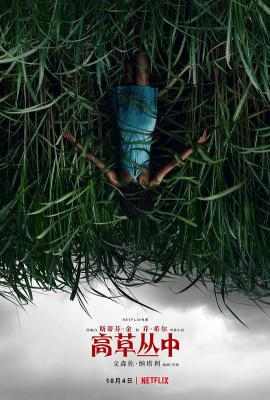 高草丛中/高草魅声 IN THE TALL GRASS (2019) 高清版 豆瓣6.3 