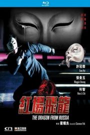 红场飞龙 /淚眼煞星 (1990) 修复版 豆瓣5.9 许冠杰 张曼玉 
