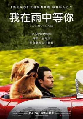 我在雨中等你 THE ART OF RACING IN THE RAIN (2019) 豆瓣8.0 
