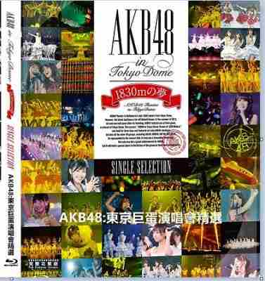 AKB48：东京巨蛋演唱会精选 