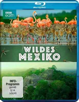 BD50 墨西哥：地球生命的狂欢 MEXICO：EARTH’S FESTIVAL OF LIFE (2017) 豆瓣8.1  50G 
