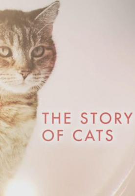 猫科动物：奇妙的动物家族+猫科动物的故事 2016 