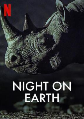 地球的夜晚 2碟装 2020 豆瓣评分9.4分 国家地理神作 独特的视角 精彩的呈现 