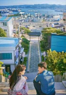 山茶花开时 2碟装 姜河那 孔晓振主演 2019韩国连续剧 不支持PS3 PS4 XBOX 