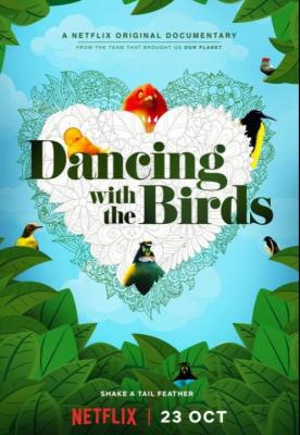 与鸟共舞/与鸟共舞 DANCING WITH THE BIRDS(2019) 豆瓣9.5 高清版 