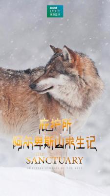 庇护所：阿尔卑斯山求生记 2020 被誉为最美丽的山峰 瑞士阿尔卑斯山珍贵记录大片 