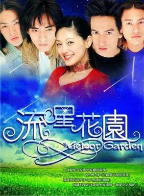 流星花园 言承旭 2001 不支持PS3 PS4 XBOX 