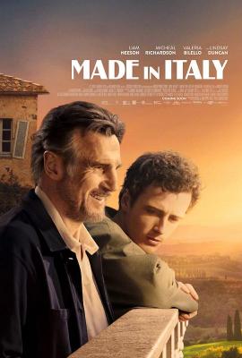 意大利制造 MADE IN ITALY (2020) 正式版 豆瓣6.6 