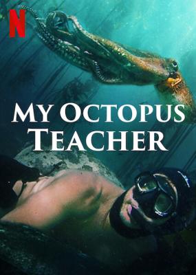 我的章鱼老师 MY OCTOPUS TEACHER‎ (2020) 豆瓣9.3 