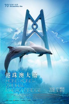 港珠澳大桥 2019 人类建筑领域的奇迹 