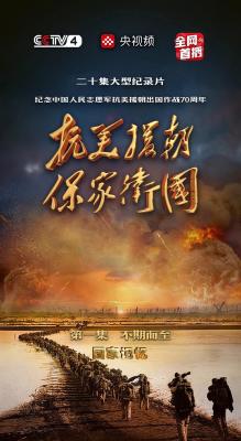 抗美援朝保家卫国‎ 2碟装 2020 豆瓣评分9.5分 高度还原并全面回顾了抗美援朝战争历程 