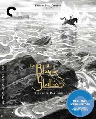 BD50-2D 黑神驹/沙漠黑驹 THE BLACK STALLION (1979) CC标准收藏版 豆瓣8.2 