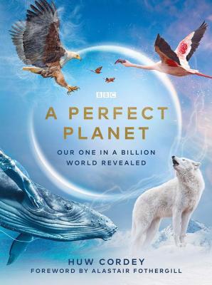 BD50 BBC：完美星球 带国语 A PERFECT PLANET (2021) 2碟 豆瓣9.7  