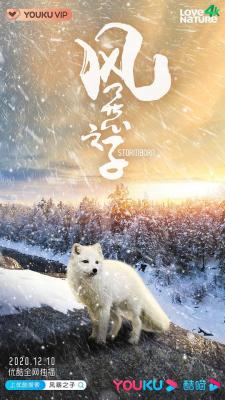 风暴之子 STORMBORN (2020)  