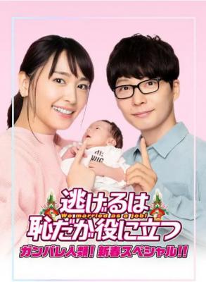 逃避虽可耻但有用 新春特别篇 2021 豆瓣评分8.5分 国民女友 新垣结衣 领衔主演大热日剧 