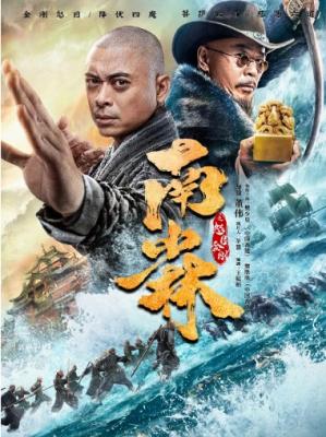 南少林之怒目金刚‎ 2021《叶问》樊少皇 领衔主演2021新春古装武打动作片 