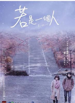 若是一个人 2碟装 2020 豆瓣评分8.5分 2020台湾剧情佳作 
