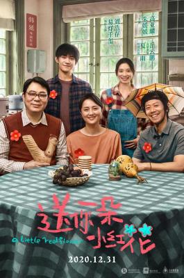 送你一朵小红花 高清版 2020 豆瓣评分7.5分 2021新春全国热映剧情大作 