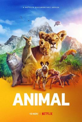 动物本色 第一季 ANIMAL SEASON 1 (2021) 2碟 高清版 豆瓣8.9 
