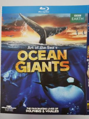 BBC 海的艺术 + 海洋巨物 2碟装 BBC历史艺术《海的艺术》带您一起探索公海的艺术图画和文学 