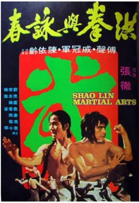 洪拳与咏春 1974 邵氏头号招牌导演 张彻 自编自导张彻式暴力美学经典之作 