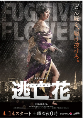 逃亡花 2碟装 2018 日本经典深夜剧，德艺双馨苍井空老师不惜出卖肉体，化身“复仇夜叉” 