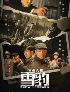 雪豹之暗战天机 2021国产最新上映动作历史战争佳作  