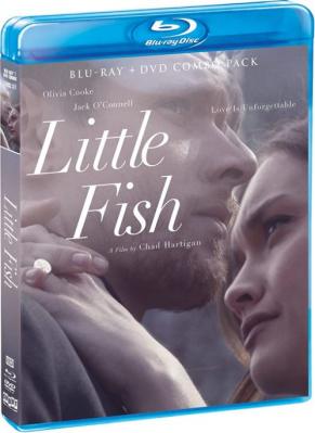 BD50 小鱼/鱼的记忆 LITTLE FISH (2020) 豆瓣6.7 