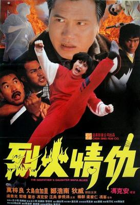 烈火情仇 1991 黑帮、警匪、复仇，万梓良 大岛由加利 领衔主演港产火爆动作片 