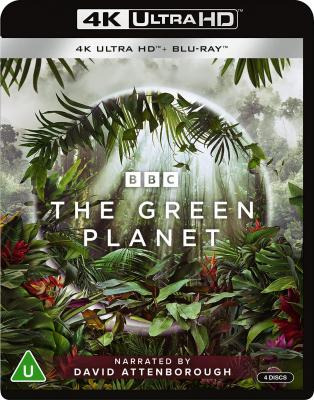 4K UHD BBC 绿色星球 THE GREEN PLANET (2022) 2碟 全景声 豆瓣9.7  