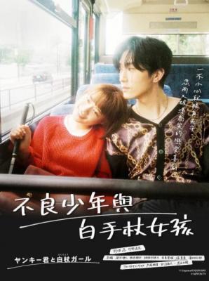 这是恋爱！不良少年与白手杖女孩 TV版+番外篇 2碟装 