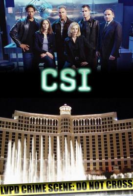 犯罪现场调查 第二季 CSI: CRIME SCENE INVESTIGATION SEASON 2‎ (2001) 2碟 完整版 豆瓣9.3 