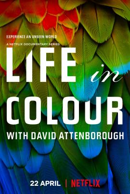 生命之色/大卫·艾登堡：自然本色 LIFE IN COLOUR (2021) 豆瓣9.1 