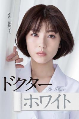 白夜医生 (2022) 日本 2碟 高清版 豆瓣6.5 