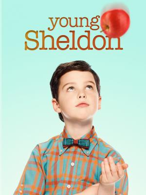 小谢尔顿 第二季 YOUNG SHELDON SEASON 2 (2018) 2碟 豆瓣9.4 