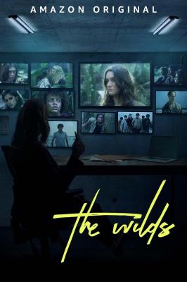 荒野 第二季 THE WILDS SEASON 2‎ (2022) 2碟 高清版 豆瓣6.9 