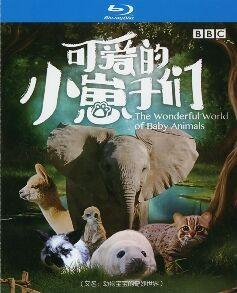 BBC：可爱的小崽子们 THE WONDERFUL WORLD OF BABY ANIMALS‎ (2019) 2碟 高清版 豆瓣8.7 