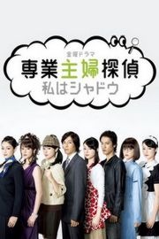 专业主妇侦探（2011）5碟 悬疑剧 豆瓣7.0 