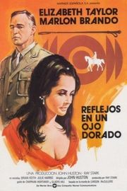 BD50 禁房情变（1967）豆瓣7.4 