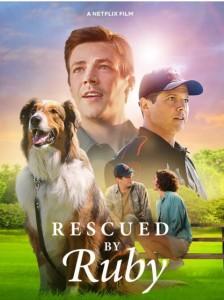 4K PS5 义犬救主/搜救犬露比 RESCUED BY RUBY‎ (2022) 豆瓣7.3 
