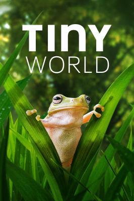 4K PS5 小小世界 第二季 TINY WORLD SEASON 2 (2021) 豆瓣9.6 