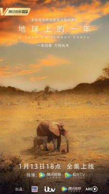 地球上的一年 2碟装 2022 全新视角野生动物大型纪录片 