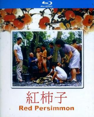 红柿子 1997 王童自导自演经典台湾片，豆瓣评分高达8.9 