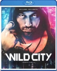 谜城/暴走迷城 WILD CITY(2015) 