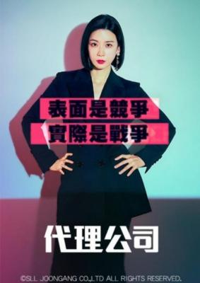 代理公司 3碟装 2023年李宝英、赵成夏主演现代/职场剧集 