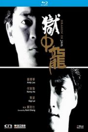 狱中龙 1990 含国语粤语 刘德华主演  